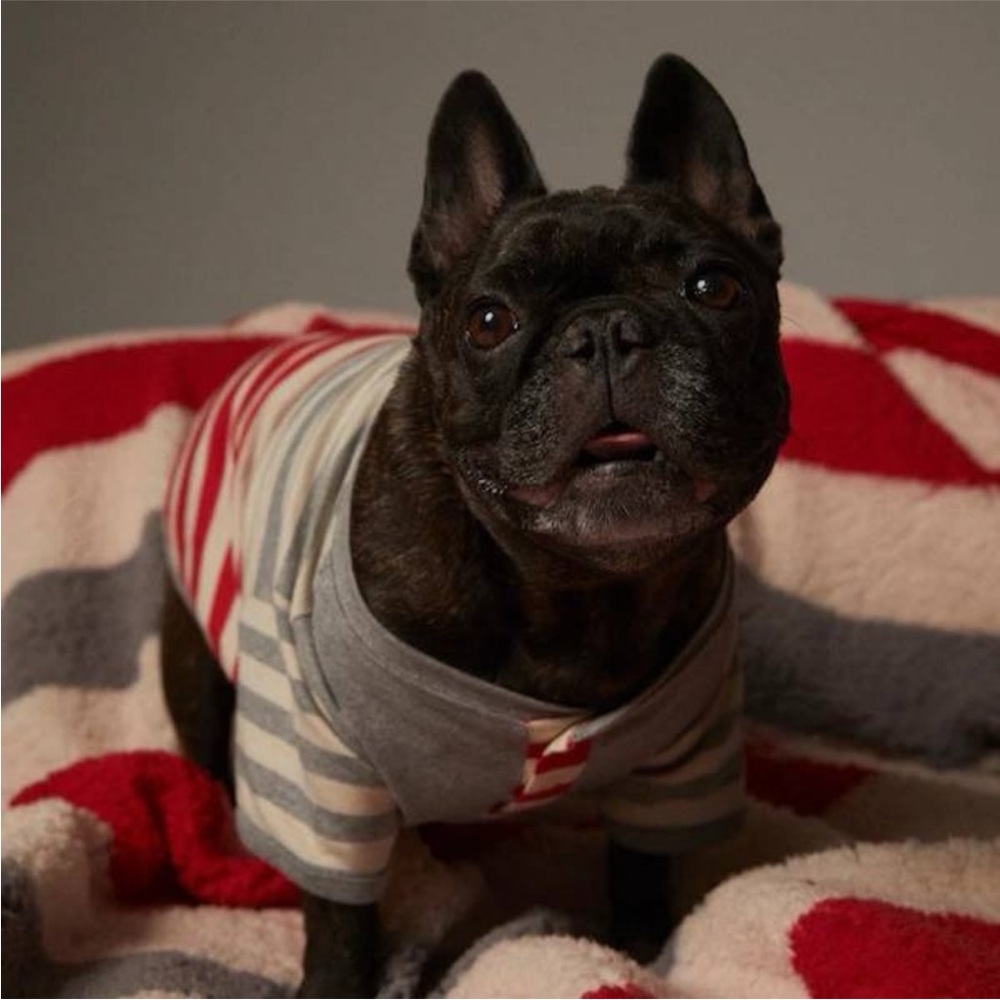 Hatley x Indigo - 2 Dog and 1 Human Matching Red and White Striped Pajama Set